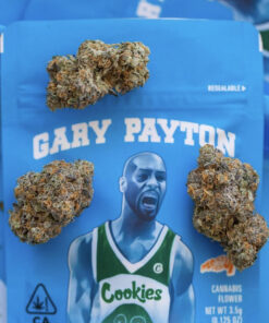 GARY PAYTON 3 1